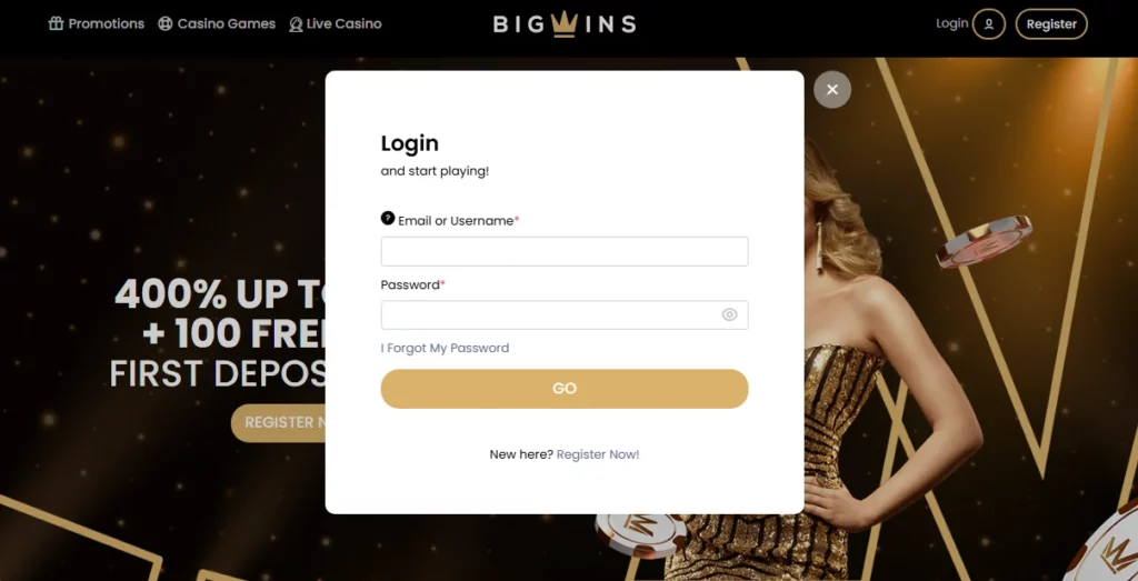 Big Wins Casino login form