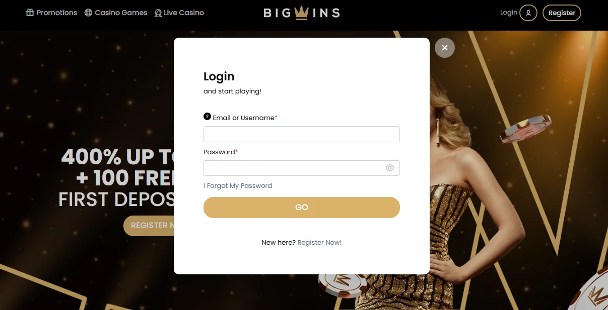 Big Wins Casino login form